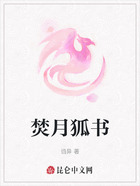焚月狐书在线阅读