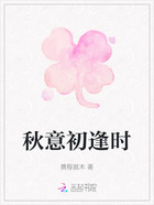 秋意初逢时在线阅读
