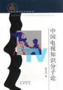 中國(guó)電視知識(shí)分子論