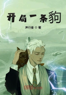 開局一條豿