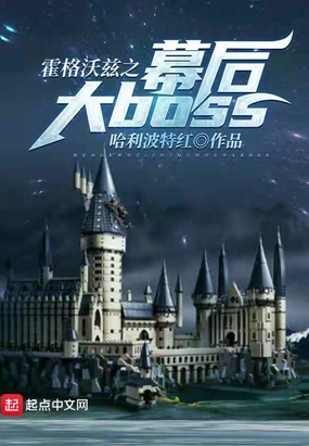 霍格沃兹之幕后大boss在线阅读