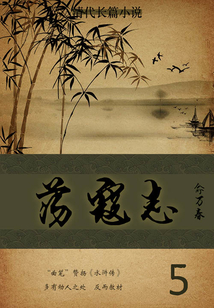 清代长篇小说:荡寇志(5)
