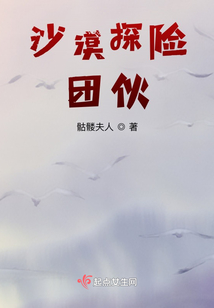 沙漠探險團伙