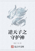 逆天子之守护神在线阅读