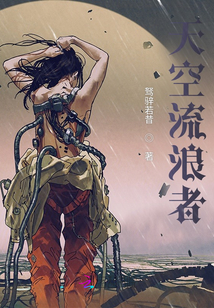 天空流浪者