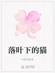 落葉下的貓