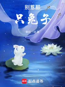 別惹那只兔子