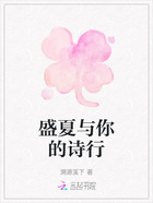 盛夏与你的诗行在线阅读