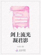 剑上流光凝君影在线阅读