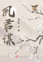 夙君谋在线阅读