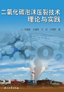二氧化碳泡沫壓裂技術理論與實踐