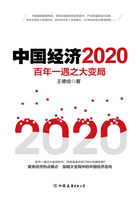 中国经济2020在线阅读