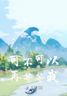 可不可以再等等我