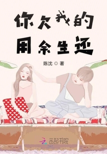 你欠我的用余生還