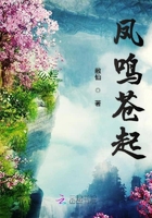 鳳鳴蒼起在線閱讀