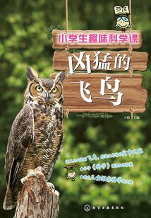 小學生趣味科學課·兇猛的飛鳥