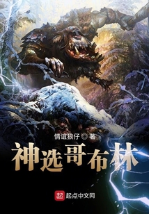 神选哥布林在线阅读