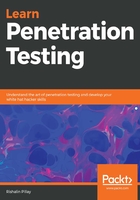 Learn Penetration Testing在线阅读