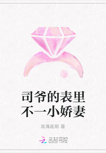 司爷的表里不一小娇妻