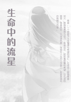 生命中的流星在線閱讀