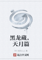 黑龍藏，天月篇在線閱讀