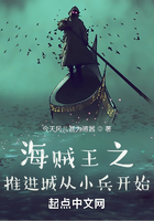 海贼王之推进城从小兵开始