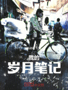 我的岁月笔记在线阅读