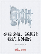 夺我兵权,还想让我抗击外敌?在线阅读