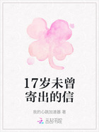 17岁未曾寄出的信在线阅读