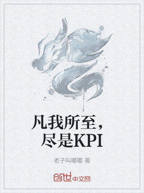 凡我所至，尽是KPI在线阅读