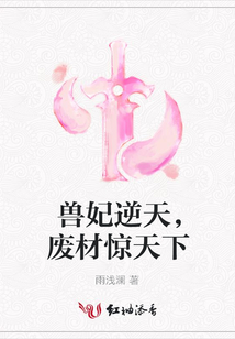 兽妃逆天,废材惊天下