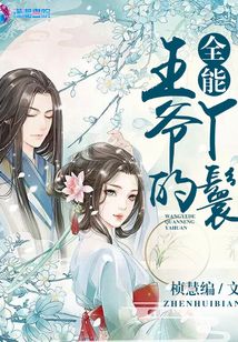 王爺的全能丫鬟