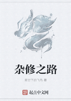 杂修之路