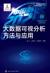 大數(shù)據(jù)可視分析方法與應(yīng)用