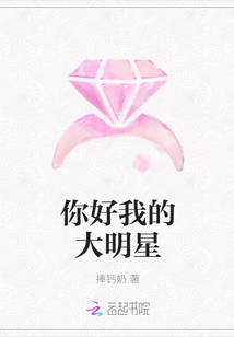 你好我的大明星