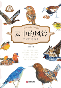 云中的風鈴