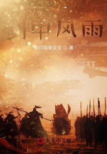 劍中風(fēng)雨