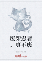 废柴忍者，真不废在线阅读