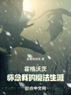 霍格沃茨：懷念我的魔法生涯在線閱讀