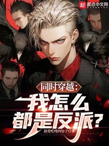 同時穿越：我怎么都是反派？
