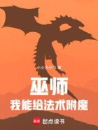 巫师:我能给法术附魔在线阅读
