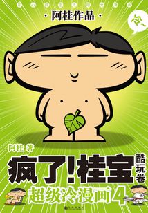 疯了！桂宝.4：酷玩卷