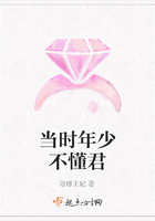 當時年少不懂君在線閱讀