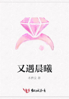 又遇晨曦在線閱讀