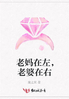 老媽在左，老婆在右在線閱讀