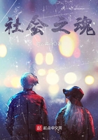 社会之魂在线阅读
