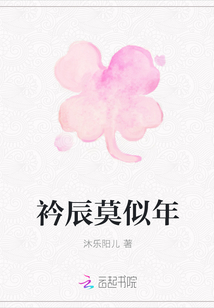 衿辰莫似年