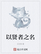以賢者之名在線閱讀