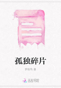 孤獨碎片