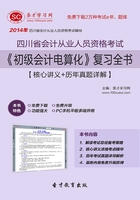 四川省会计从业人员资格考试《初级会计电算化》复习全书【核心讲义＋历年真题详解】在线阅读